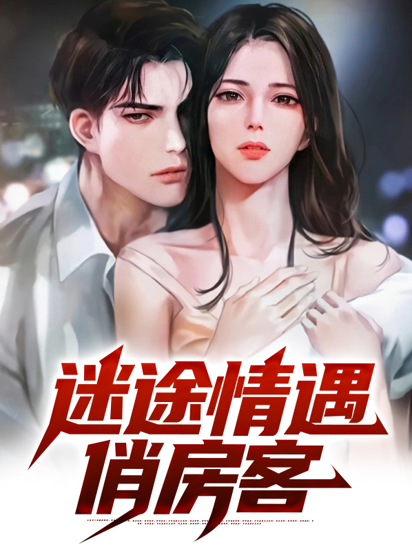 迷途情遇俏房客讲的什么