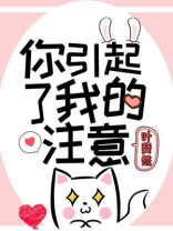 你引起了我的注意小说