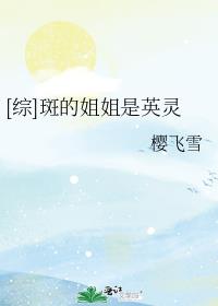 [综]斑的姐姐是英灵 樱飞雪
