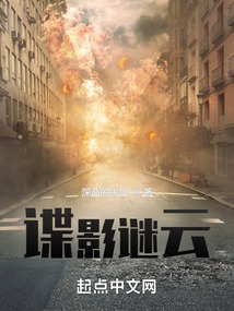谍影谜云笔趣阁