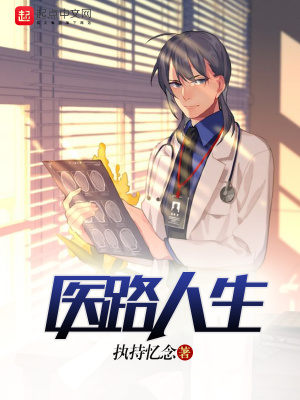 医路人生小说