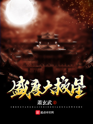 盛唐大救星TXT电子书免费下载