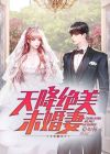 天降7个未婚妻电视剧免费观看