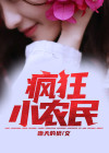 疯狂小农民小说阅读