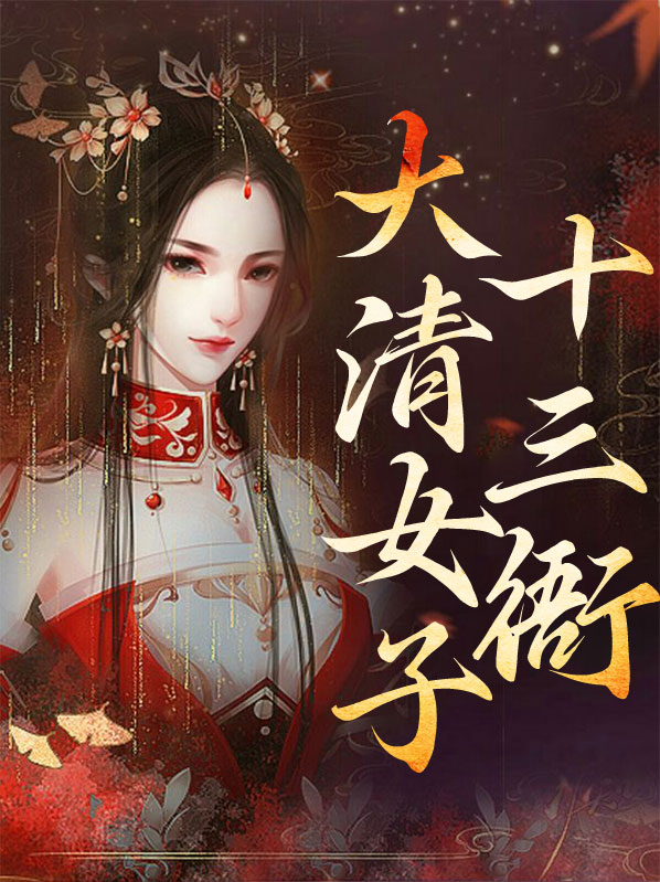 大清十三爷的小说
