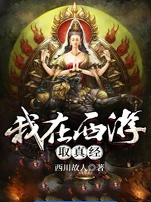 我在西游取真经