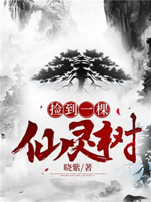 捡到一棵仙灵树怎么办