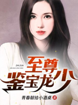 至尊鉴宝龙少 小说
