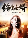 绝品女婿小说