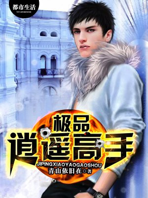 极品逍遥高手有几个女人