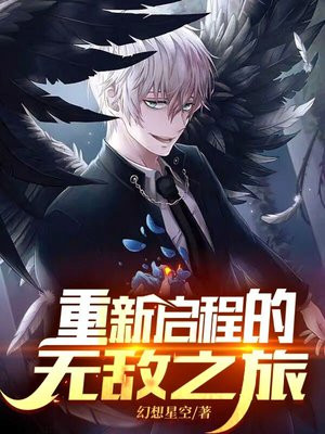 重新启程的无敌之旅 小说