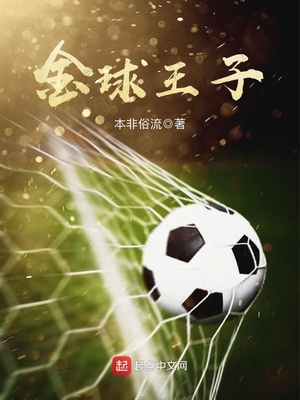 金球王子 小说