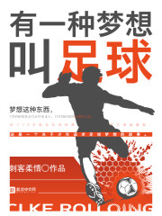 有一种梦想叫足球 刺客柔情读后感