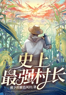 史上最强村支书