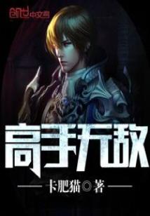 高手无敌无弹窗免费阅读