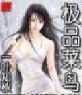 神级菜鸟