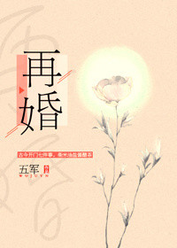 再婚的小说推荐