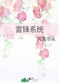 雷锋系统简介