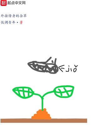 外傍身的野草杂草免费阅读