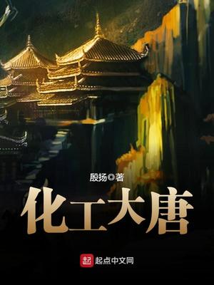 化工大唐TXT下载