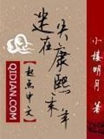 迷失在康熙末年简介