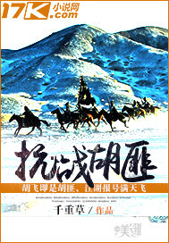 胡匪的小说