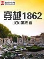 穿越1862小说