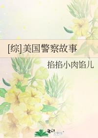 美国警察故事电影