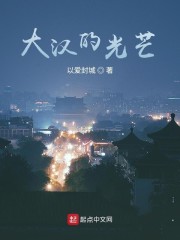 大汉光武写的什么