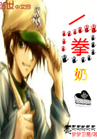 dnf:一拳奶爸
