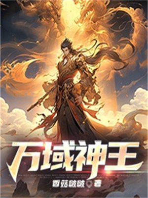 万域神王境界划分