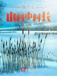 重生之山村小村长 起点
