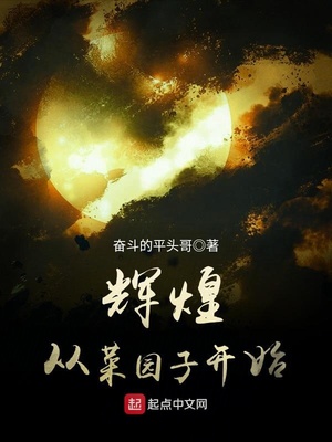 辉煌从菜园子开始笔趣阁