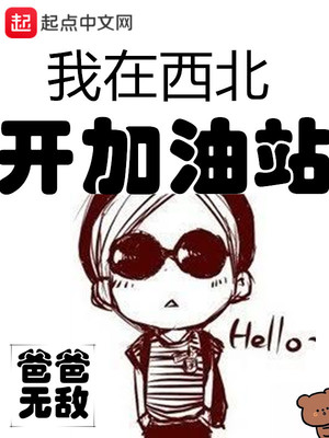 我在西北开加油站 小说