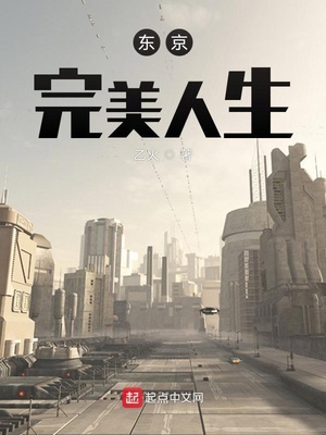 东京完美人生小说
