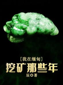 我在缅甸挖矿那些年百度云