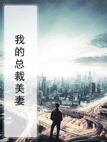 我的总裁美女老婆 小说