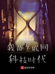 我的互联网科技时代 小说
