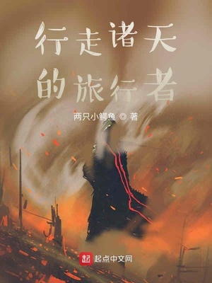 行走诸天的旅行者TXT下载