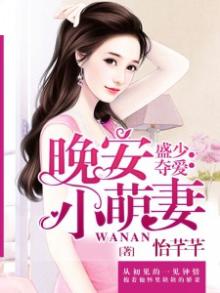 盛少暖宠