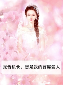 报告机长,您是我的首席爱人