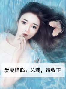 爱妻降临:总裁,请收下