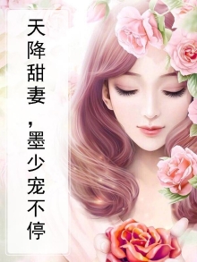天降墨宝墨少喜当爹