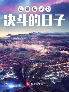 在霍格沃兹决斗的日子TXT下载