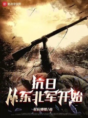 抗日从东北军开始小说