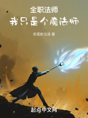 全职法师：我只是个魔法师