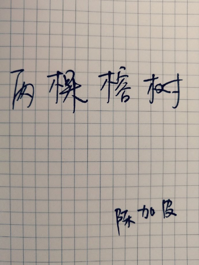 两棵榕树的根长在一块营养往哪棵树上走