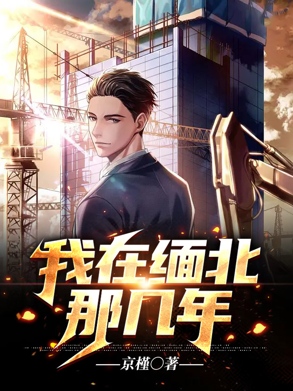 我在缅北那几年小说