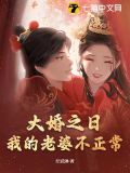 大婚之日,我的老婆不正常作者:纪武淋