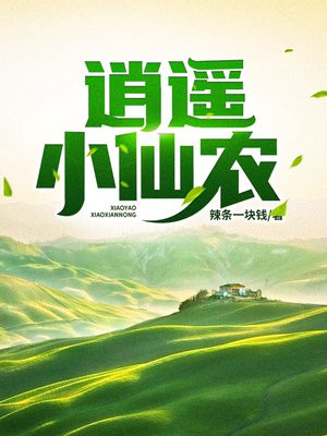 逍遥小仙农辣条一块钱